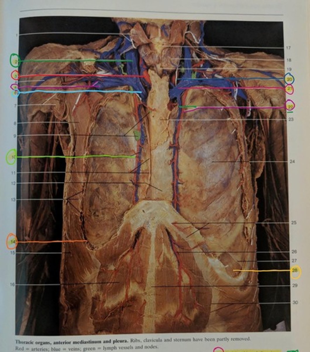 <p>6</p>