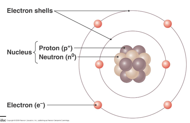 <p>atoms</p>