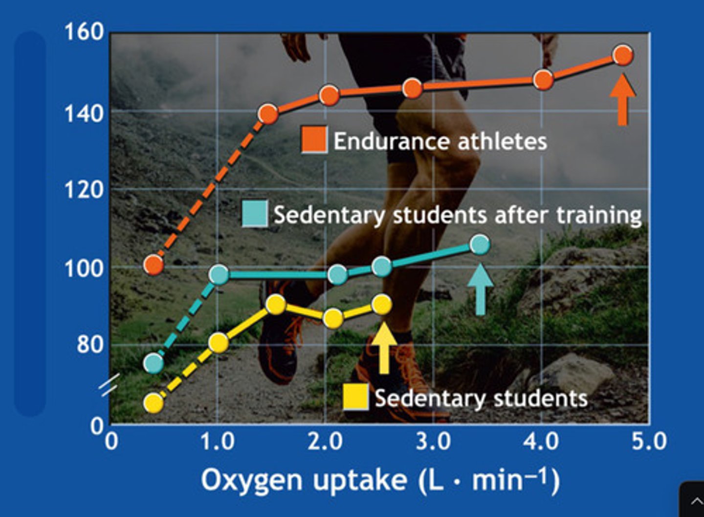 <p>what is this graph showing</p>