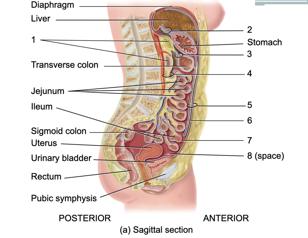 <p>1</p>