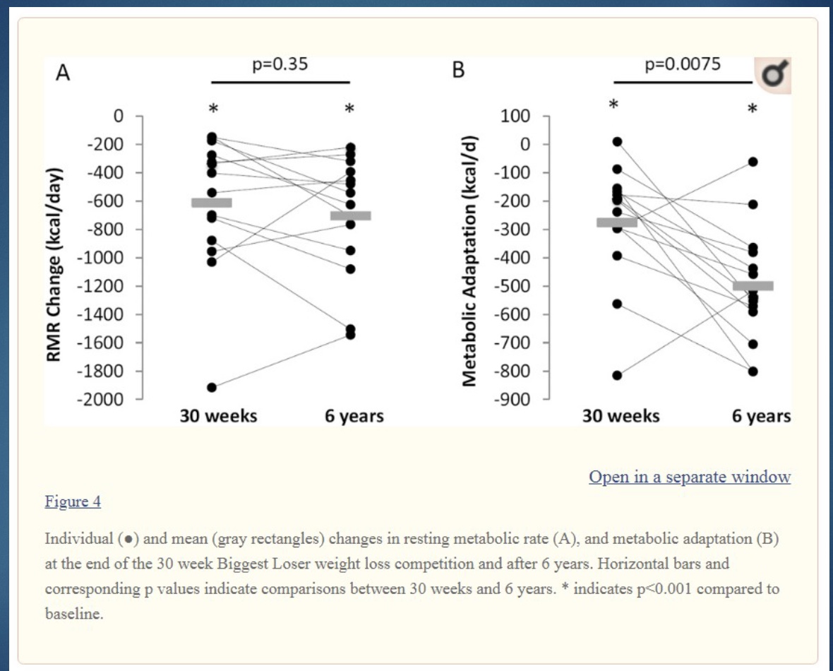<p>*metabolic adaptation</p>