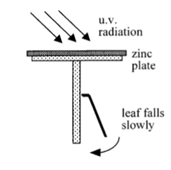 <p>Can be demonstrated by using a negatively charged electroscope, when the zinc plate is exposed to u.v. radiation the leaf fall.</p>