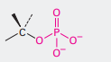 <p>What is the name of this functional group?</p>