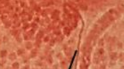 <p>What is this arrow pointing to?</p>