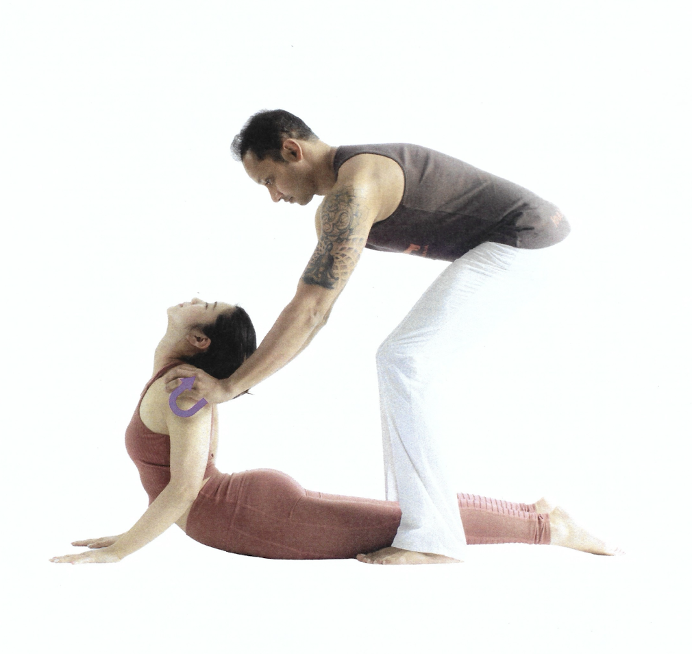 <p>Bhujangasana</p>