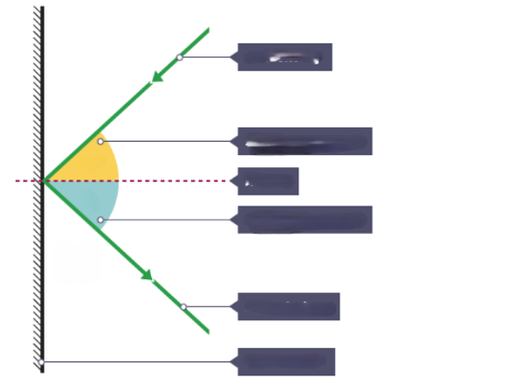 <p>What is the dotted line?</p>