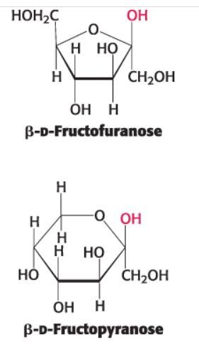 <p>hydroxyl groups attached to C-1 above the plane of the ring </p>