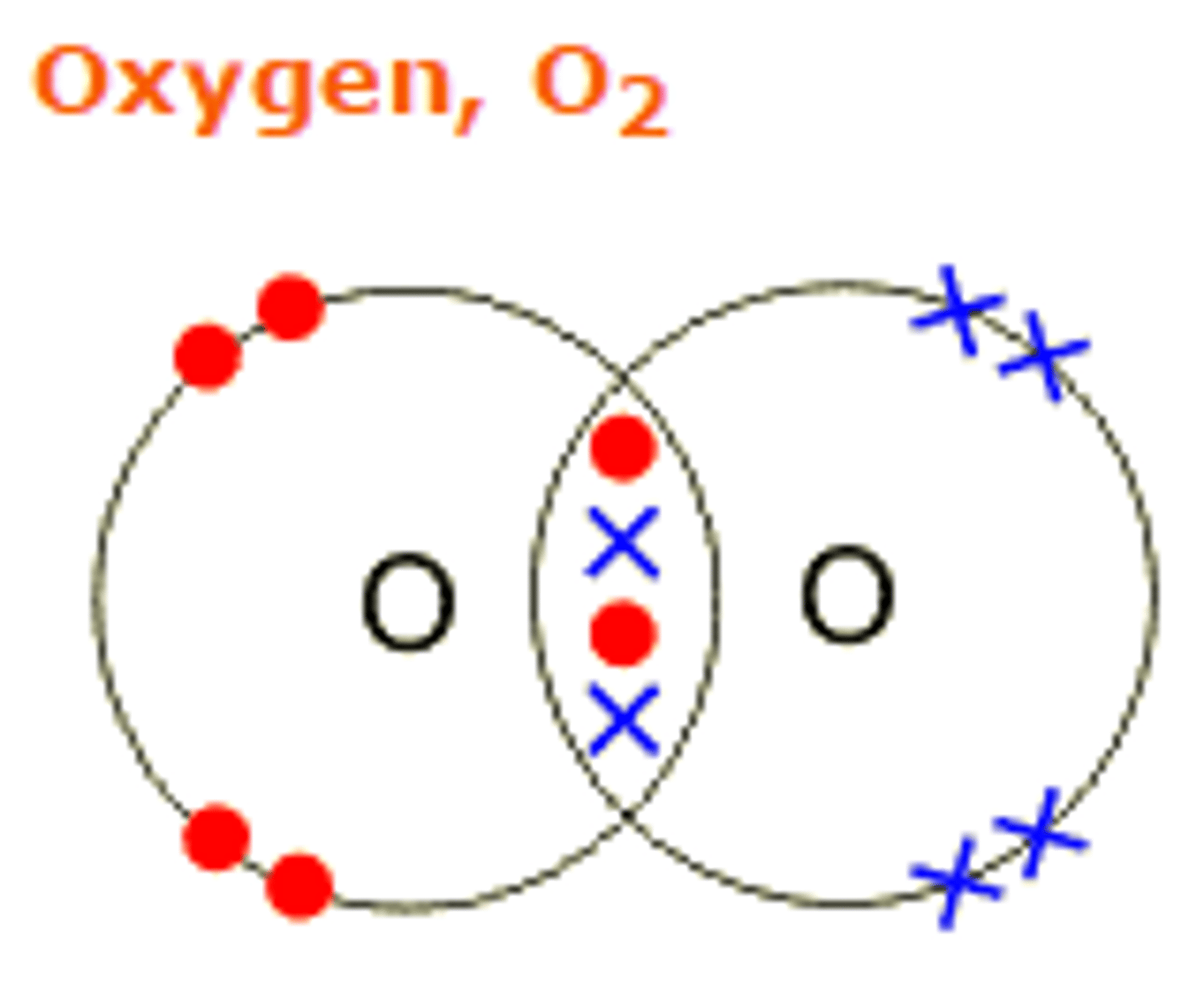 <p>two or more atoms held together by covalent bonds. They may be made from the same type of element e.g. O2, or different ones e.g. H2O</p>