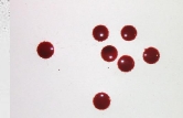 <p>Drip </p>