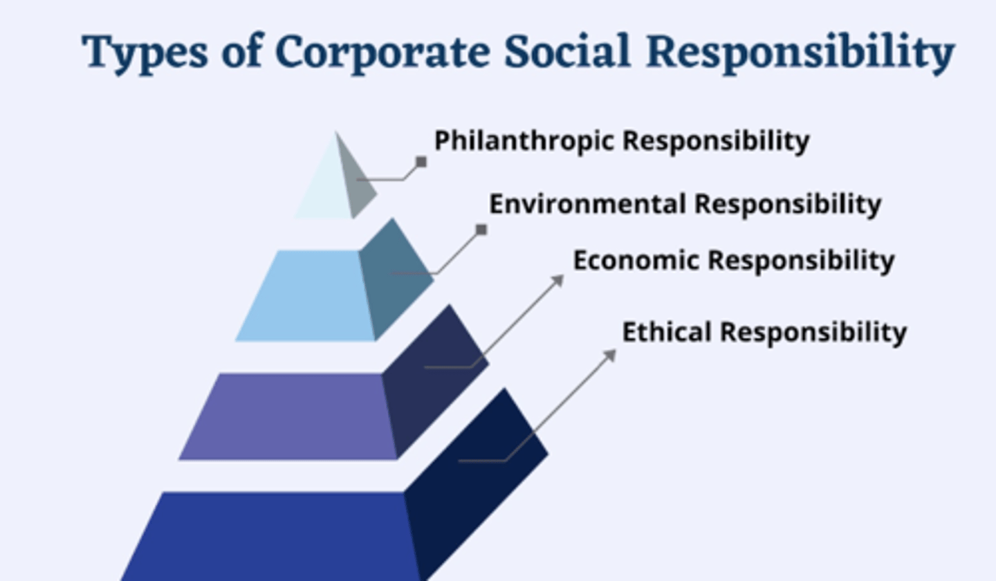 <p>1. ethical (human rights)</p><p>2. financial</p><p>3. environmental</p><p>4. philanthropic</p>
