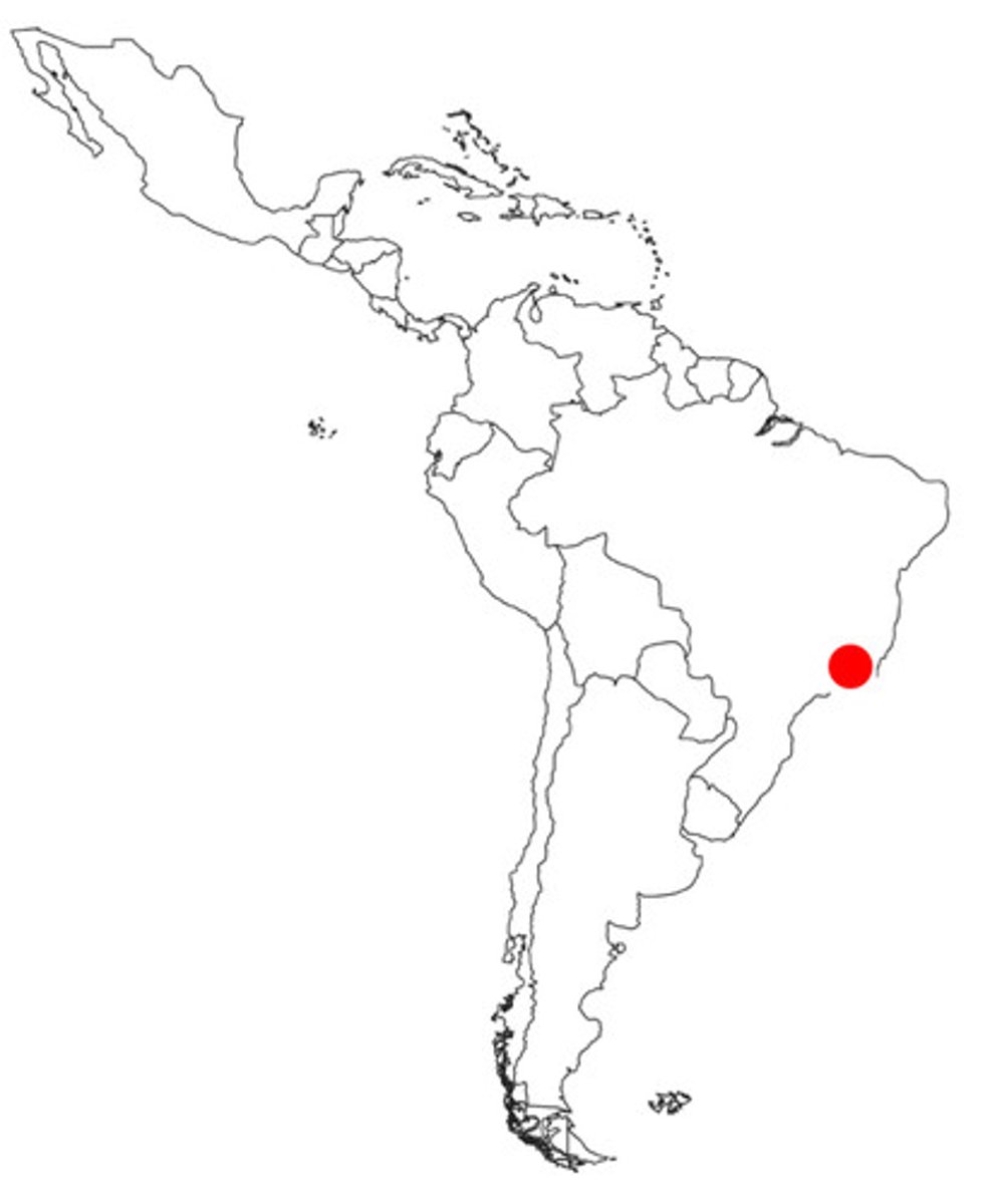 <p>city in Brazil (on the coast, farther north)</p>