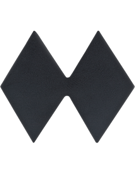 <p>What rank is this?</p>