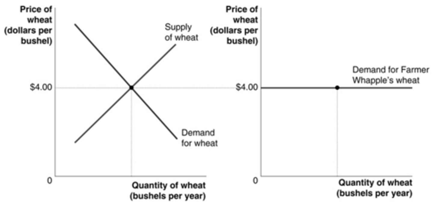 <p>b. Farmer Whapple is a price taker.</p>