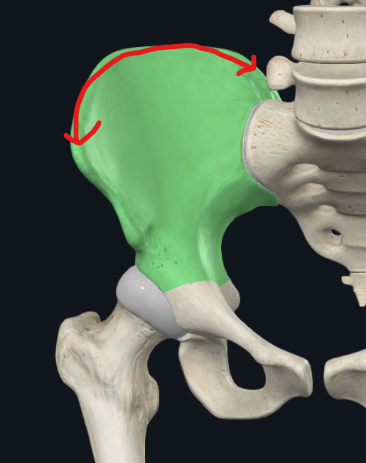 <p>What is this part called?</p>