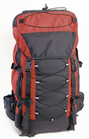 <p>Backpack </p>