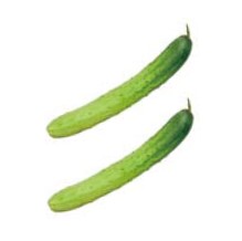 <p>cucumber</p>
