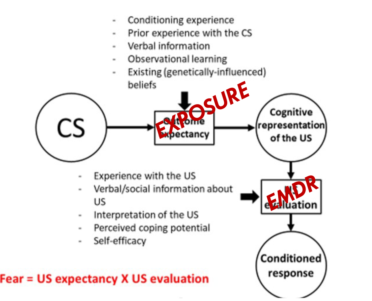 <p>Explain based on this why EMDR could be useful in treating panic disorder</p>