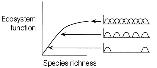 <ul><li><p>After a certain amount of species, there is redundancy</p></li></ul><p></p>