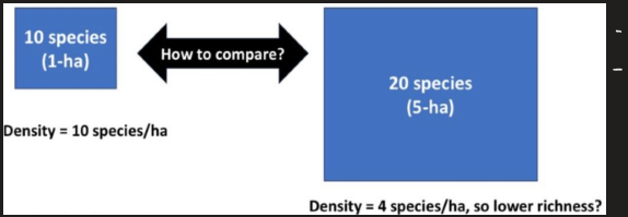 <p>Measuring diversity (species richness)</p>