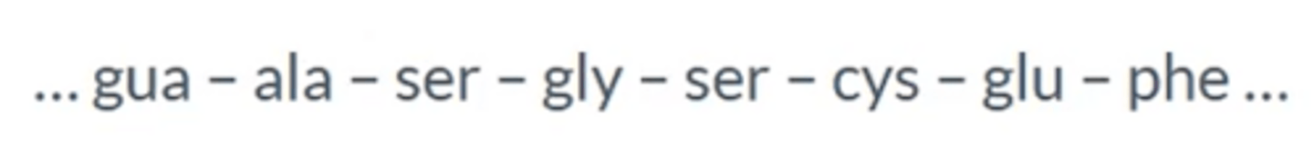 <p>Sequence of 3 letter abbreviations of the amino acids</p><p>Peptide bonds replaced by straight lines</p>