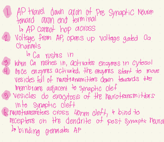 knowt flashcard image