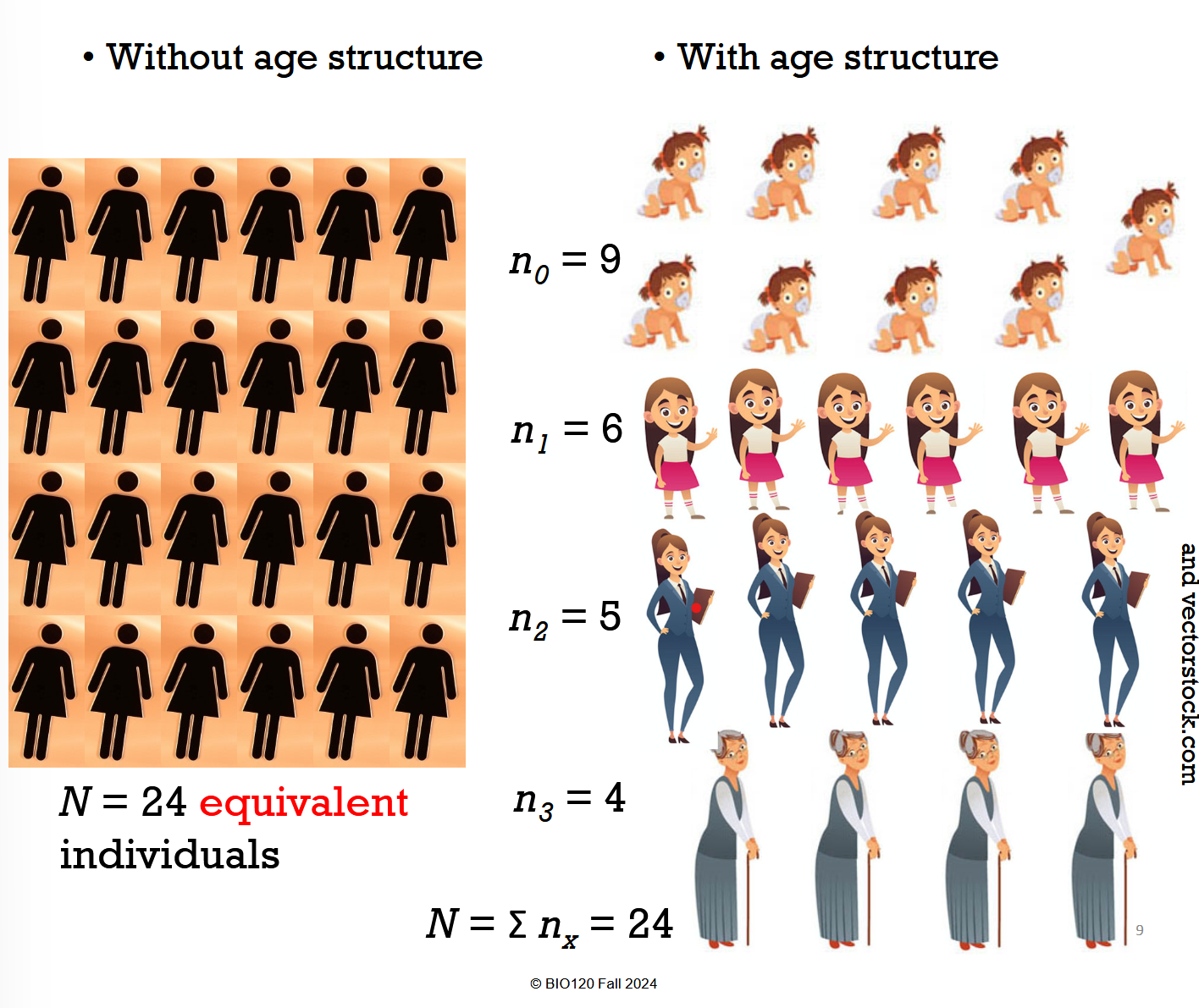 <ul><li><p>Fecundity and survivorship depend on age, and not all individuals have equal probability of birth/death</p><ul><li><p>Species also have life history strategies (ex. lifespan, reproduction timing, numbr of offspring, parental investment)</p></li></ul></li></ul><p></p>