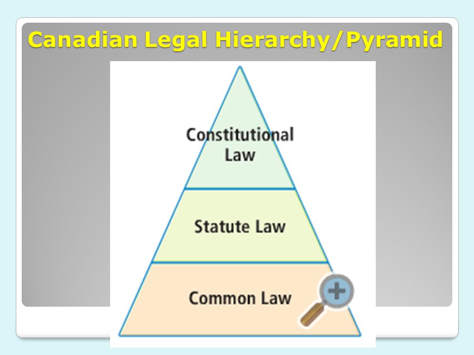 <ul><li><p><span>3 levels of constitution that make up the pyramid</span></p><ul><li><p><span>Constitutional Law</span></p><ul><li><p><span>Body of laws that deals with the distribution of government powers and sets out certain important legal principles</span></p></li><li><p><span>This type of law sets out the distribution of powers between federal government and the provinces and embodies certain important legal principles</span></p></li></ul></li><li><p><span>Statute Law</span></p><ul><li><p><span>Any law passed by the federal or provincial governments</span></p></li><li><p><span>Statutes take form of a written bill that has to pass three readings in the House of Commons</span></p><ul><li><p><span>Many times the bill is revised before the third and final reading to take into account responses from the public or from opposition parties</span></p></li></ul></li></ul></li><li><p><span>Cse/Common Law</span></p><ul><li><p><span>Case laws are bodies of law formed by judges rendering written decisions or explanations for their ruling</span></p></li></ul></li></ul></li></ul>