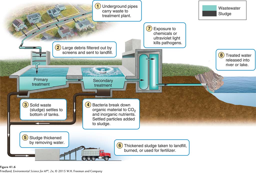 <p>Sewage enters a treatment plant and first passes through a screen that removes large items like rags and sticks to prevent clogs. Then, it goes into a grit chamber where sand and small stones settle to the bottom.</p>