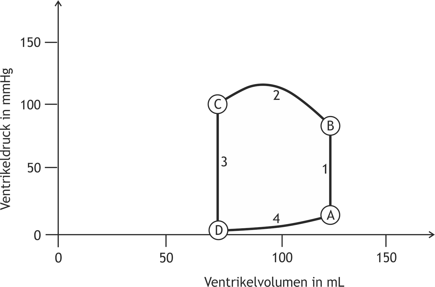<p>36. In the pressure–volume diagram of the heart, the pressure in the left ventricle is plotted against the ventricular volume. In the illustrated diagram, letters mark specific points, and numbers denote the lines (phases of the cardiac cycle) between those points.</p><p>Which statement is correct?</p><p>A. Phase [4] follows along the diastolic (resting) filling curve.</p><p>B. Phase [1] corresponds to the ejection phase.</p><p>C. Phase [4] corresponds to the relaxation phase.</p><p>D. At point [D], the aortic valve closes.</p><p>E. The volume at point [A] corresponds to the end-systolic volume.</p>