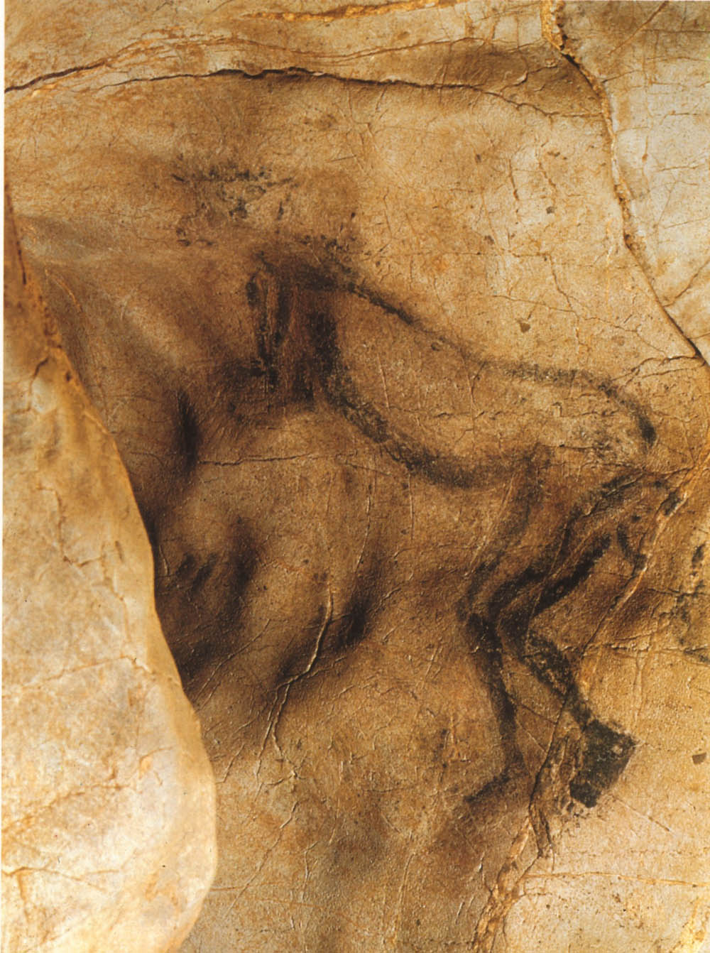 <p>4</p>