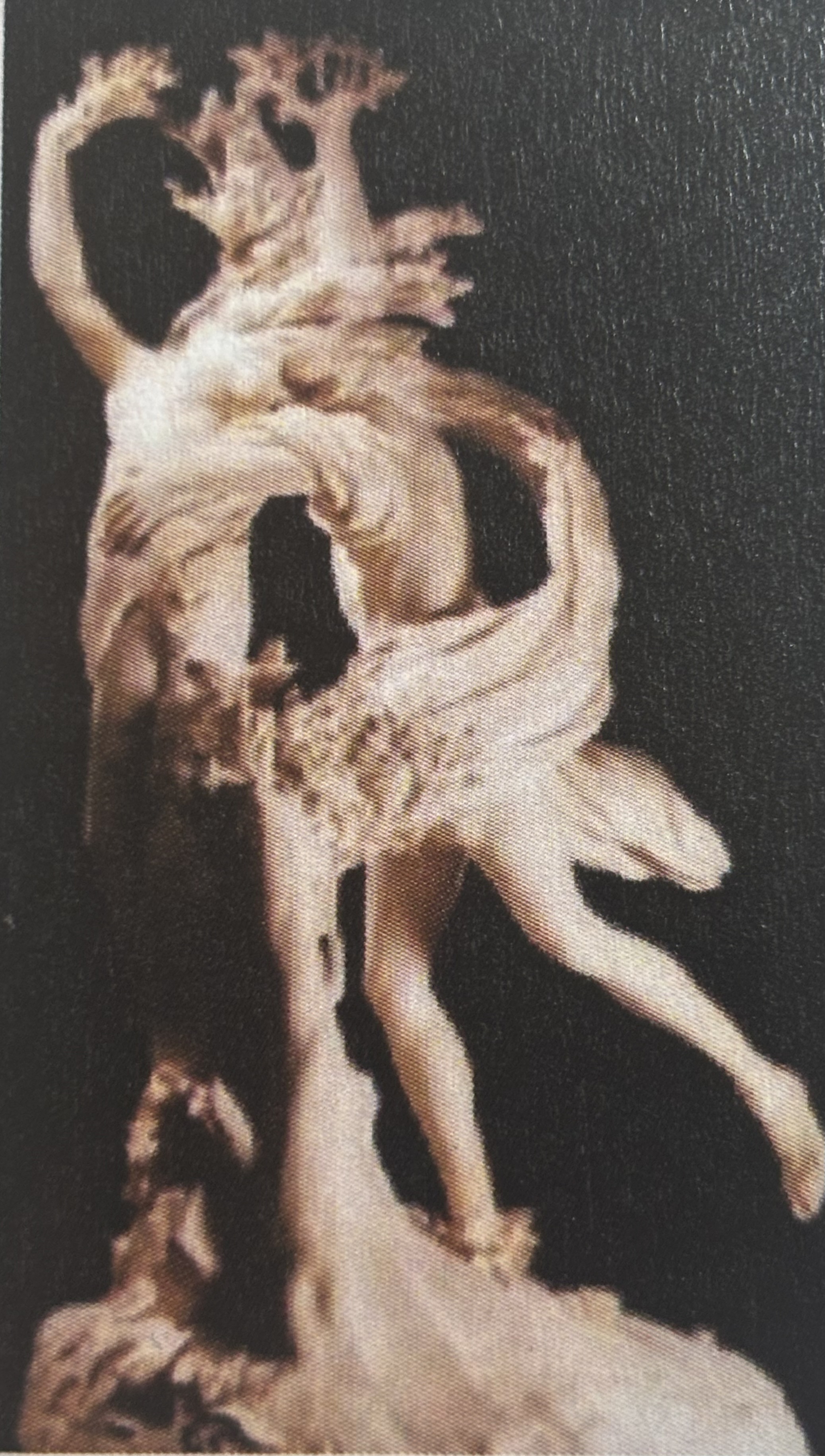 <p>B</p>