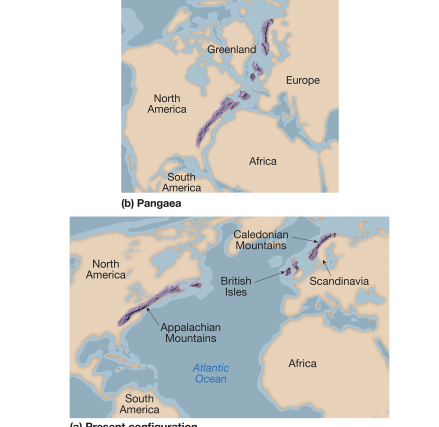 <p><strong>evidence: rocks</strong></p>