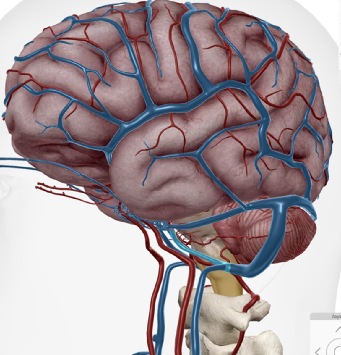 knowt flashcard image