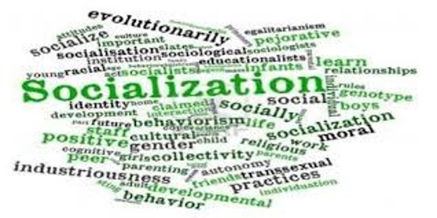 <p>the process by which people gain their political attitudes and opinions</p>