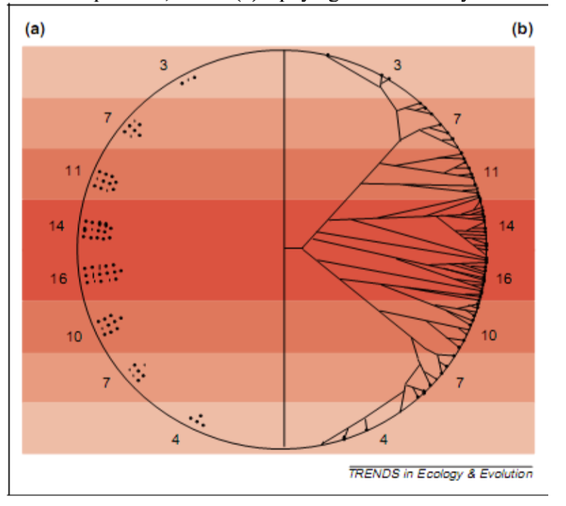 <p>Tropical Diversity. One theory of why there are more species in the tropics is represented in the</p><p>following graph</p><p></p><p>b) What TWO THINGS does this figure (from Wiens and Donoghue 2004) BEST illustrate about tropical versus non-tropical latitudes? In the figure the circle represents planet Earth and darker red colors represent warmer temperatures. In (a) numbers of species (dots) are correlated with temperature, and in (b) a phylogenetic diversity is shown to be correlated with temperature.</p><p></p><p>a. Higher species richness in the tropics</p><p>b. Higher phylogenetic diversity in the tropics</p><p>c. Higher functional diversity in the tropics</p><p>d. Higher ‘carrying capacity’ for species in the tropics</p><p>e. Faster speciation in the tropics</p>