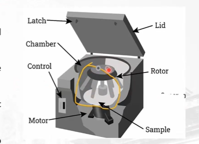 <ol><li><p>Latch</p></li><li><p>Chamber</p></li><li><p>Lid</p></li><li><p>Rotor</p></li><li><p>Motor</p></li><li><p>Control</p></li></ol><p></p>