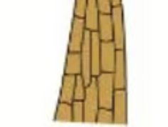 <p>arising from a single filament, divided up by longitudinal divisions; Polysiphonia</p>