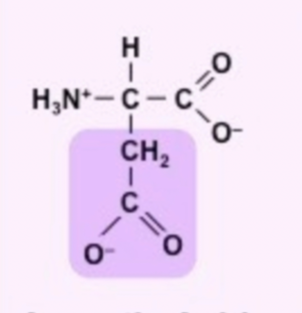 <ul><li><p><strong>CH2</strong></p></li><li><p><strong>C=O</strong></p></li><li><p><strong>O-</strong></p></li></ul>