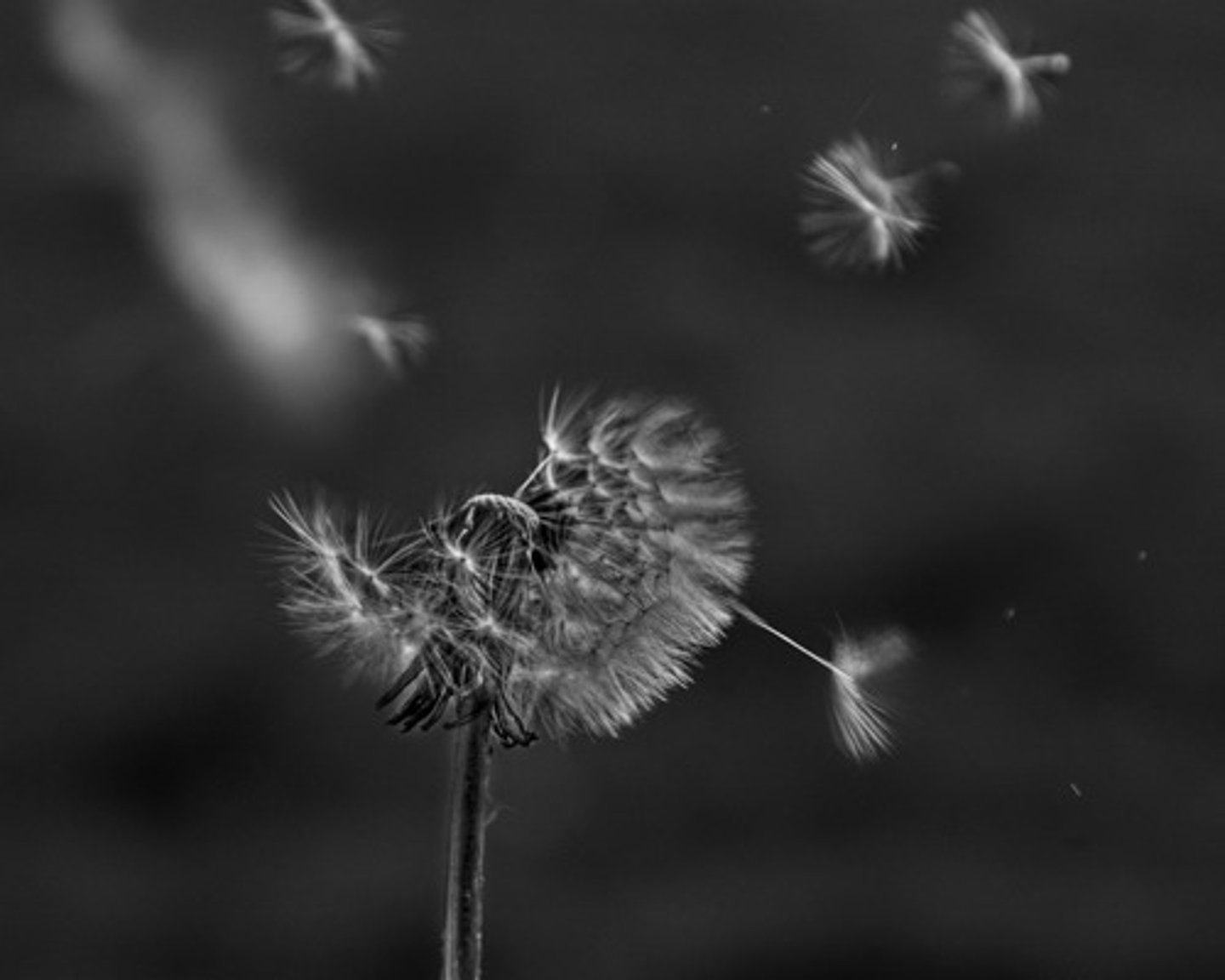 <p>Lasting a short time</p>