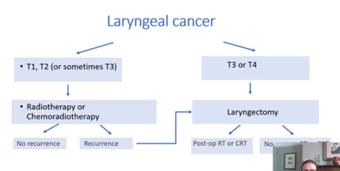 <p>T1, 2 or sometimes 3 = RT/CRT</p><p>T3/4= Laryngectomy (Post op RT/CRT possible)</p>