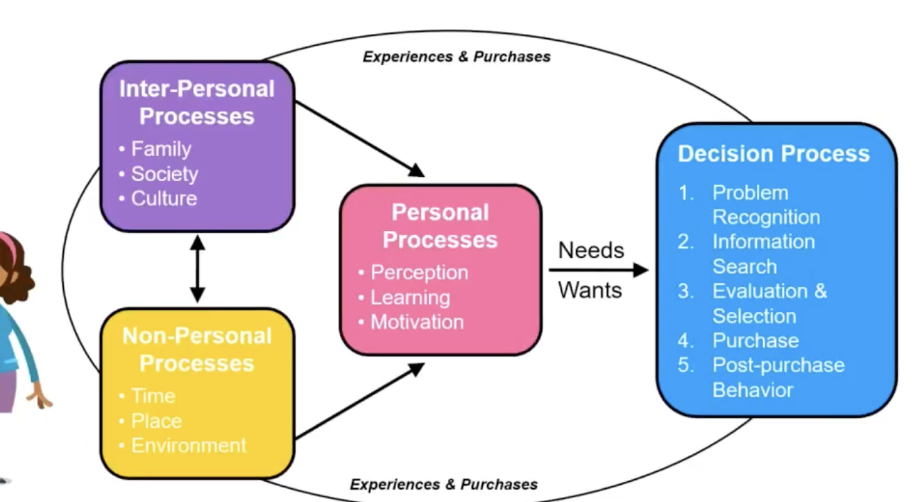 <ul><li><p><strong>decision processes→</strong> Consumers follow a predictable path for many purchase decisions Ad &amp; Promo activities can impact consumer decision making at all stages( prob recognition, info search, evaluation and selection, purchase, and post purchase behavior)</p></li><li><p><strong>personal processes→</strong>(perception, learning, motivation, needs and wants)(are influenced by interpersonal and non personal processes</p></li><li><p><strong>interpersonal processes→ </strong>( family, society, culture)</p></li><li><p><strong>non-personal processes→ </strong>(time, place, environment)</p></li><li><p><strong>experiences and purchases→</strong> impact everything (inter, non, personal, and decision processes)</p></li></ul><p></p>