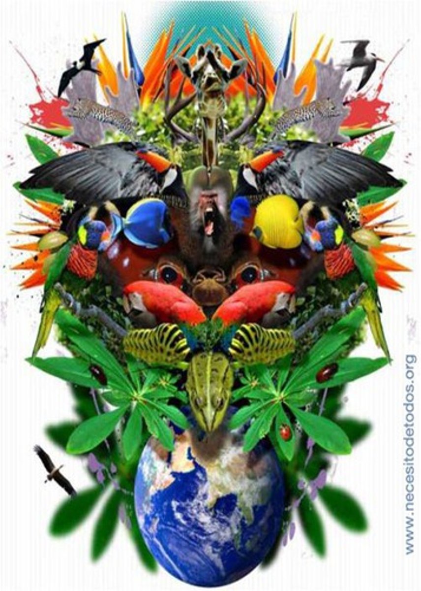 <p>a combination of the species diversity, genetic diversity and habitat diversity of an ecosystem</p>
