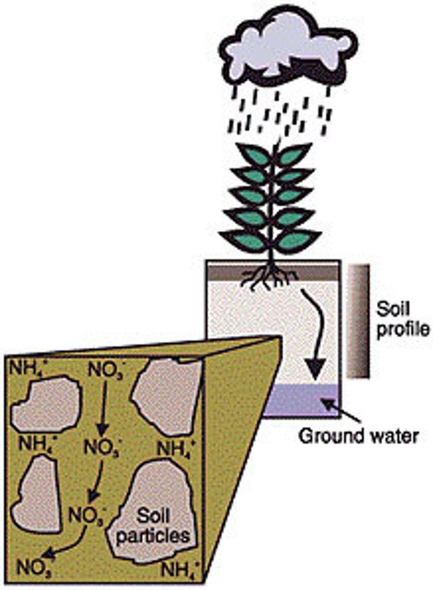 <p>A process in which dissolved molecules are transported through the soil via groundwater</p>