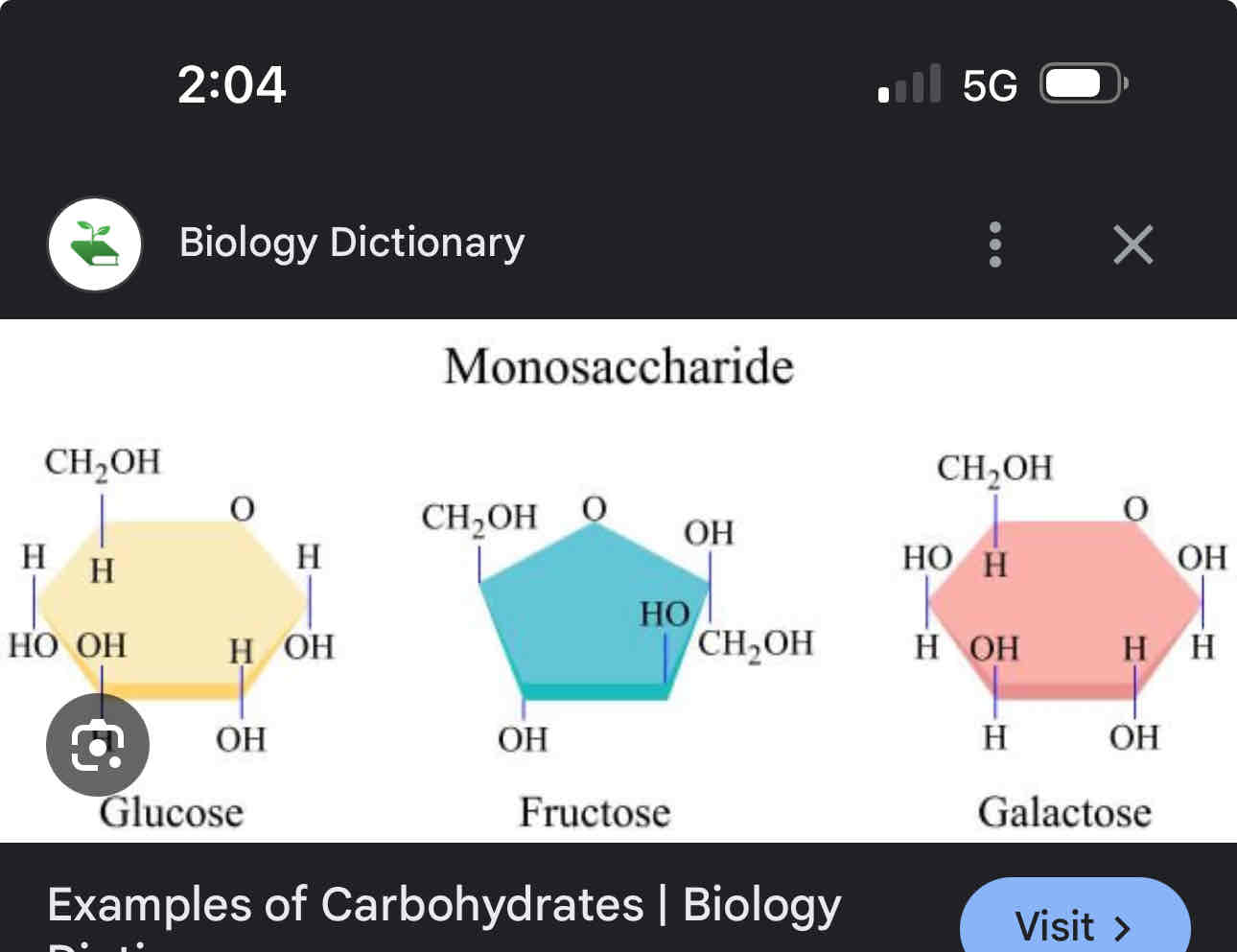 <p>Monosaccharides, Diasccharides, polysaccharides </p>