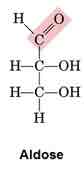 <p>Carbohydrate with an aldehyde</p>