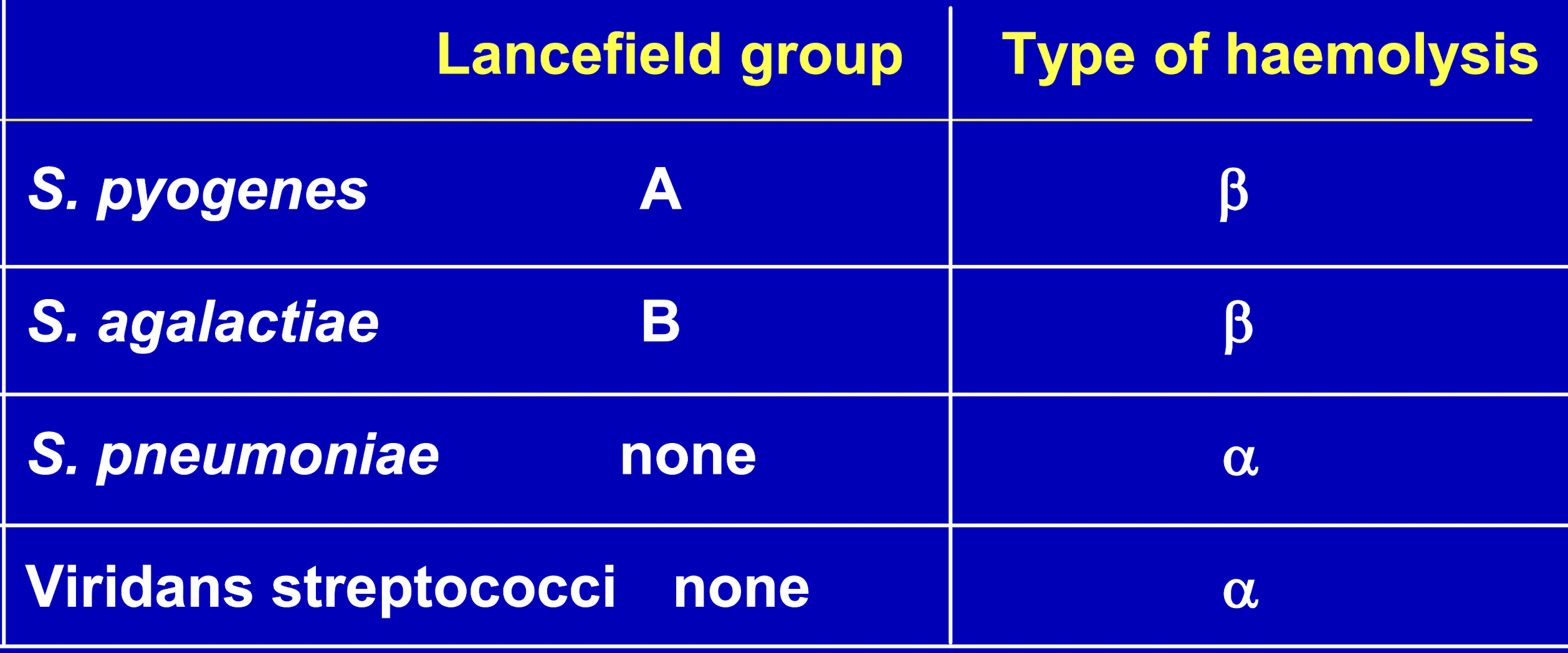<ul><li><p><em>S. pyogenes</em></p></li><li><p><em>S. agalactiae</em></p></li><li><p><em>S. pneumoniae</em></p></li><li><p><em>Viridans streptococci</em></p></li></ul><p></p>