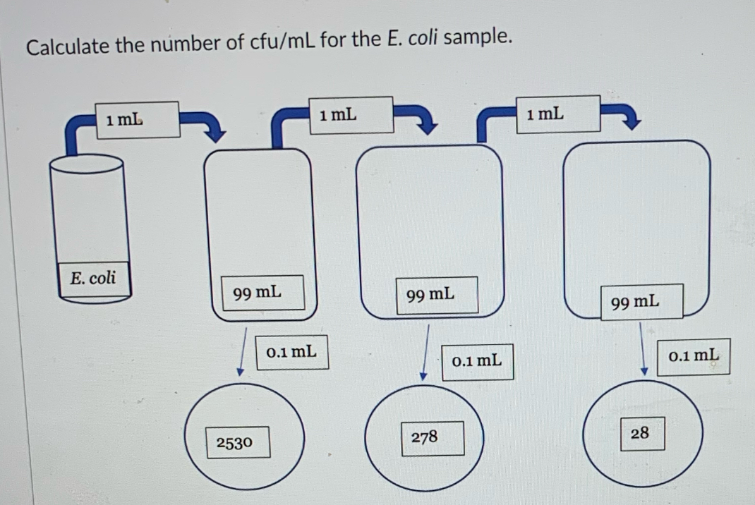 <p>Calculate the number of cfu/mL for the E. Coli sample.</p>