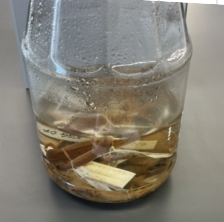 <p>Notophthalmus viridescens</p><p>Eastern red-spotted newt</p><p>Not assessed</p><p>Family Salamandridae</p><p>Red spots with black boarder</p><p>Yellow and black spots on belly</p><p>Eggs will hatch into a juvenile phase or into a larva phase</p><p>Tail is laterally compressed</p><p>In breeding, the males back legs are enlarged</p><p>During the red eft stage individuals are bright red, orange, olive or brown</p><p>When they are older they are brown</p><p>NO COSTAL GROOVES</p>