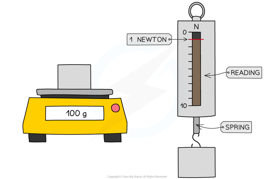 <p>mass is commonly measured with a top pan balance and then weight is found using w = mg</p><p>weight can also be measured directly using a newton-meter, a type of weighing scale that measures force in newtons. it consists of a spring fixed at one end with a hook to attach an object at the other</p>
