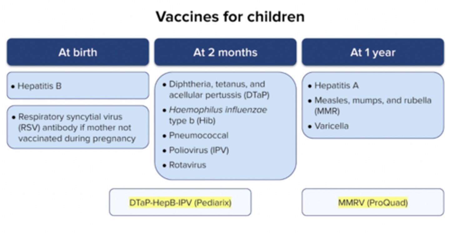<p>At Birth:</p><p>• Hep B</p><p>• RSV antibody if mother was not vaxed during preg</p><p>2 months:</p><p>•&nbsp;DTap</p><p>• Hib</p><p>• Pneumococcal</p><p>• Poliovirus</p><p>• Rotavirus</p><p>1 year</p><p>• Hep A</p><p>• MMR</p><p>• Varicella</p><p>- or MMRV (Proquad) which is MMR + varicella</p><p>He Ran</p><p>Down Her Pretty Pretty Road</p><p>He Made Vaxed</p>